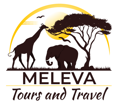 Meleva Tours Logo